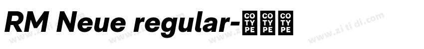 RM Neue regular字体转换